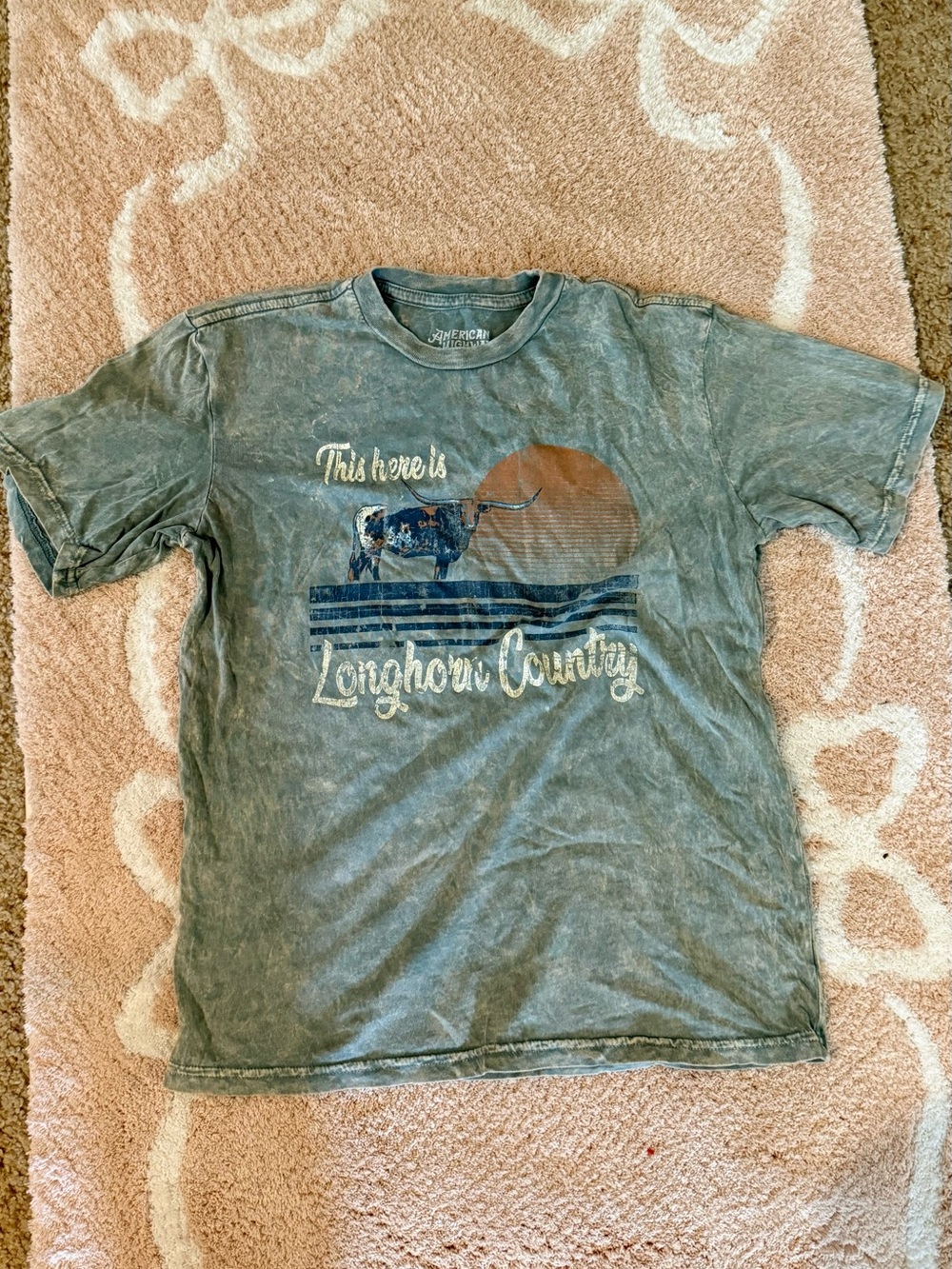 Buckle Faded Teal Longhorn Country Graphic Tee Rarely worn!